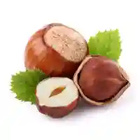 leszczyna